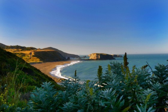 Image: The Sonoma coast